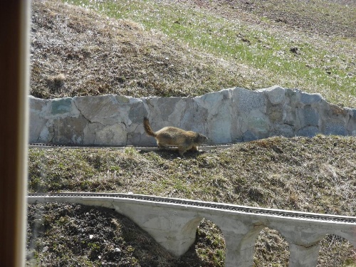 Apartmento San Gallo image 34