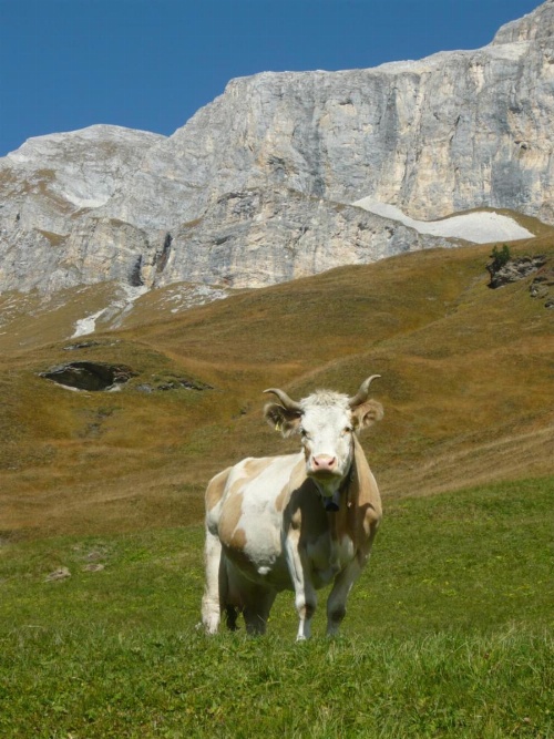 Apartmento San Gallo image 37