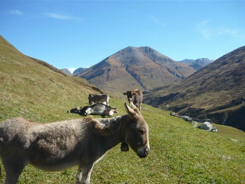 Apartmento San Gallo image 38