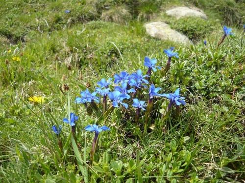 Apartmento San Gallo image 39