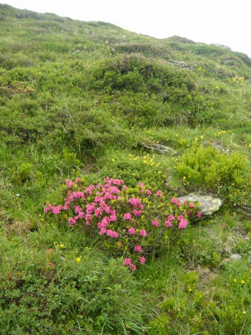 Apartmento San Gallo image 41