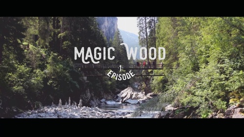 Apartmento San Gallo image 7